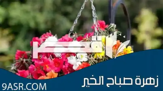 زهرة صباح الخير